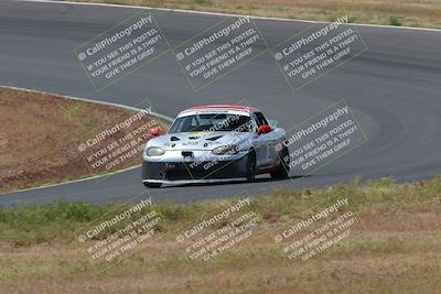 media/May-04-2024-Lucky Dog Racing (Sat) [[d39539b3f3]]/Race Pics/1015am (Turn 2)/